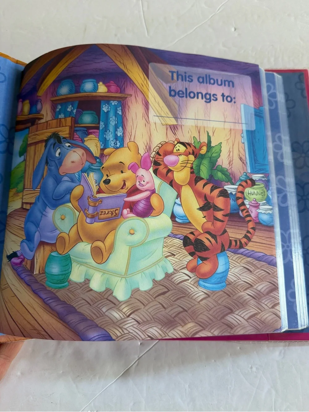 Disney winnie pooh